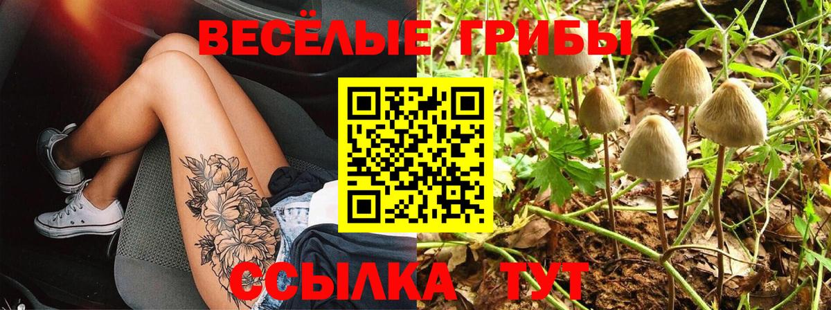 Галлюциногенные грибы Psilocybine cubensis Тимашёвск